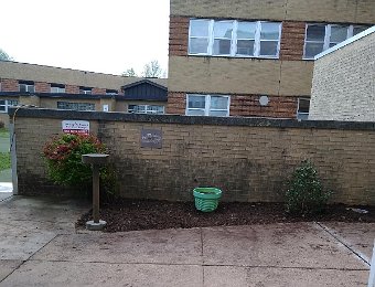 VA Garden Cleanup April 2021