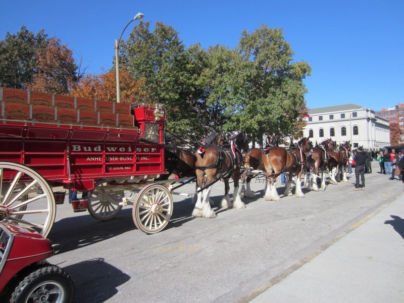 IMG 2061