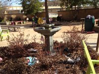 Veterans Garden Clean Up day