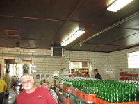IMG 4955