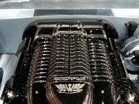 952 Horses