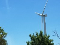 Field of Wind Mills