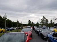 Vettes-Ready