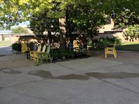 IMG 3952